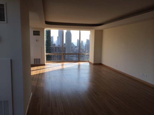 Precision Painting Plus Image